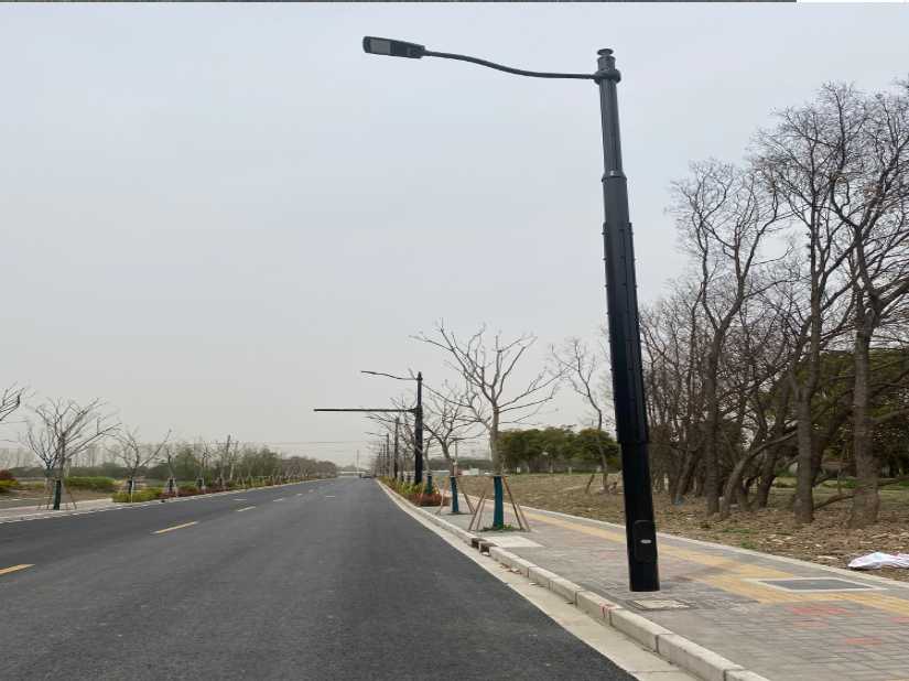 威县上海综合杆 太阳能路灯工程